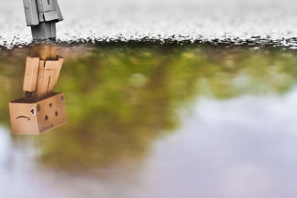 Reflection in the water of a small robot