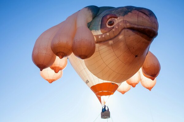 Ein fischförmiger Ball fliegt in den Himmel