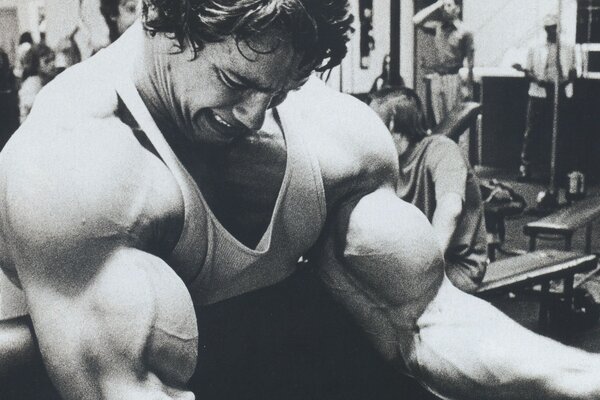 Junger arnold Bodybuilding Foto