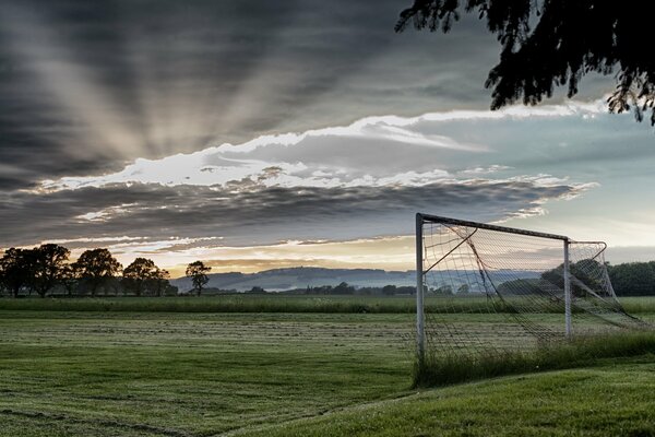 Morning field gate nature