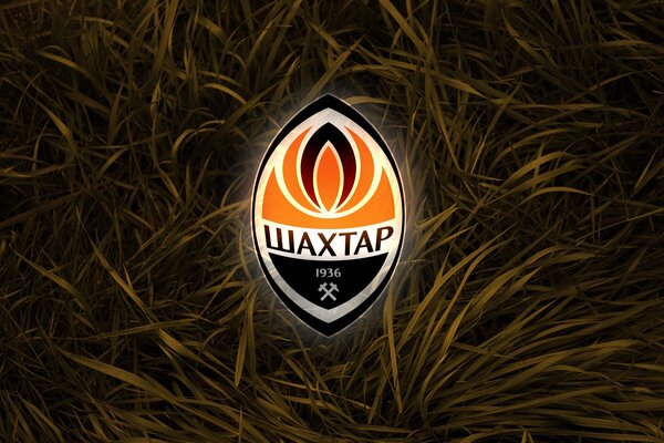 Fiery sports logo on a grass background