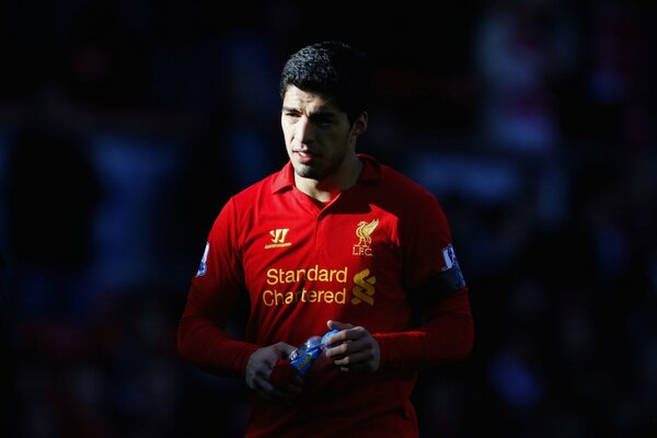 Luis Suarez vom FC Liverpool