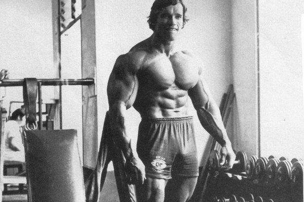 Young Schwarzenegger. Sculptural body