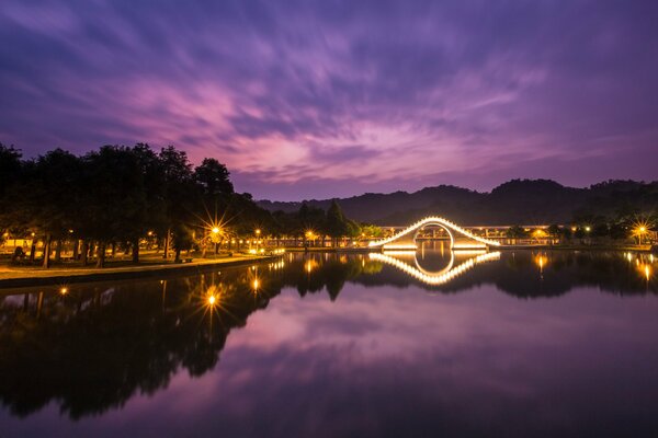 Ciel de nuit lilas