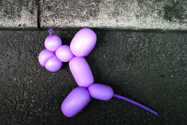 A toy made of balloons in the form of a dog