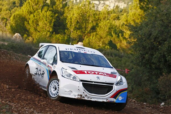 Peugeot 208 lancia la pista