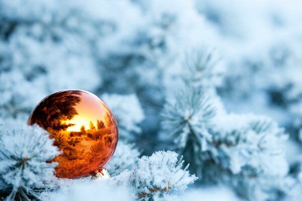 Jouet de Noël sur les branches de neige en hiver