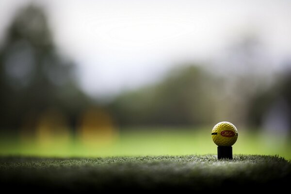 Palla sullo sfondo del campo da golf