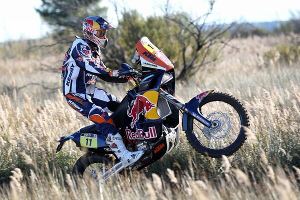 Coureur sur une moto Red Bull .