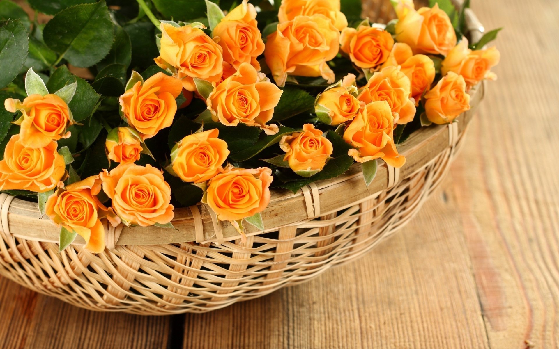 flowers roses roses baskets petals rose petals basket