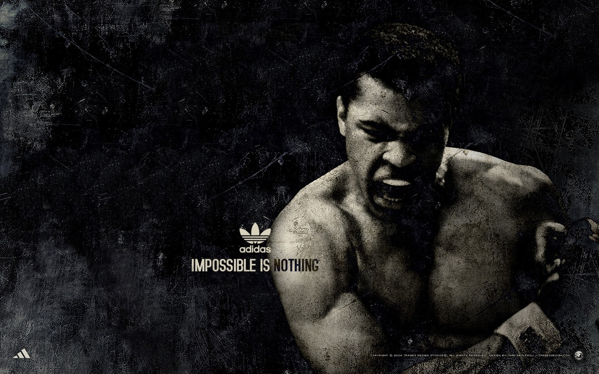 mohammed ali sport adidas