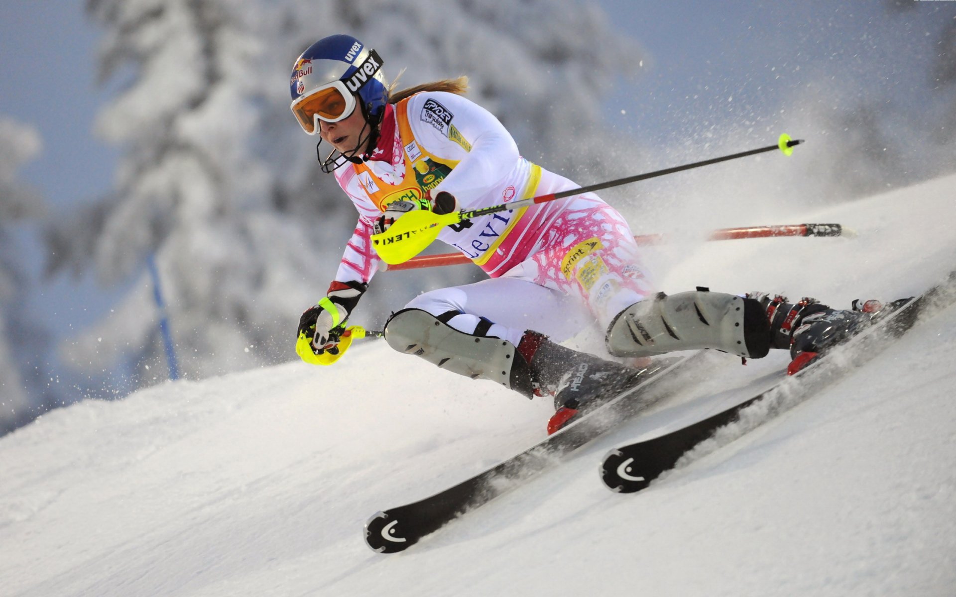 lindsey vonn sports ski alpin