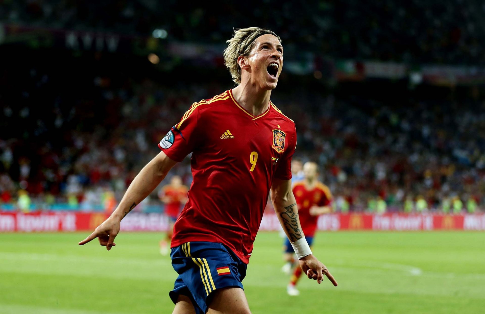 torres spagna calcio euro 2012