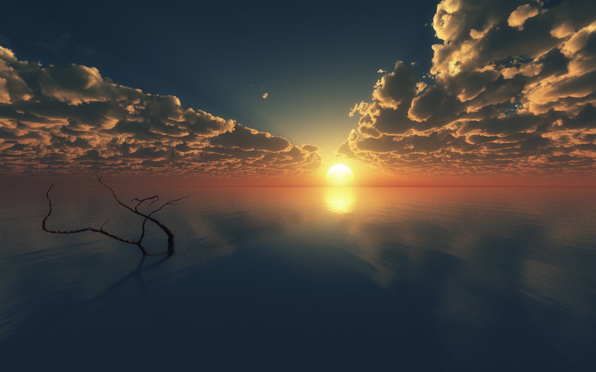 branch sunset surface sea clouds tree art horizon