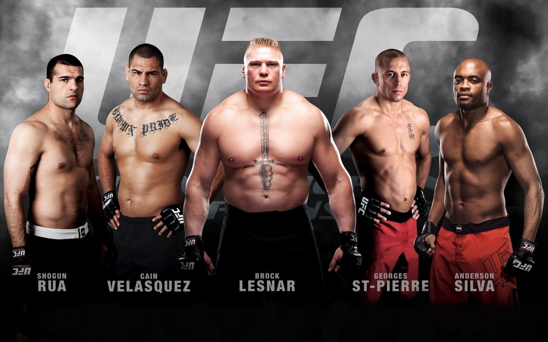 ufc artes marciales mixtas luchadores kane velásquez anderson silva georges st-pierre mauricio rua brock lesnar campeones