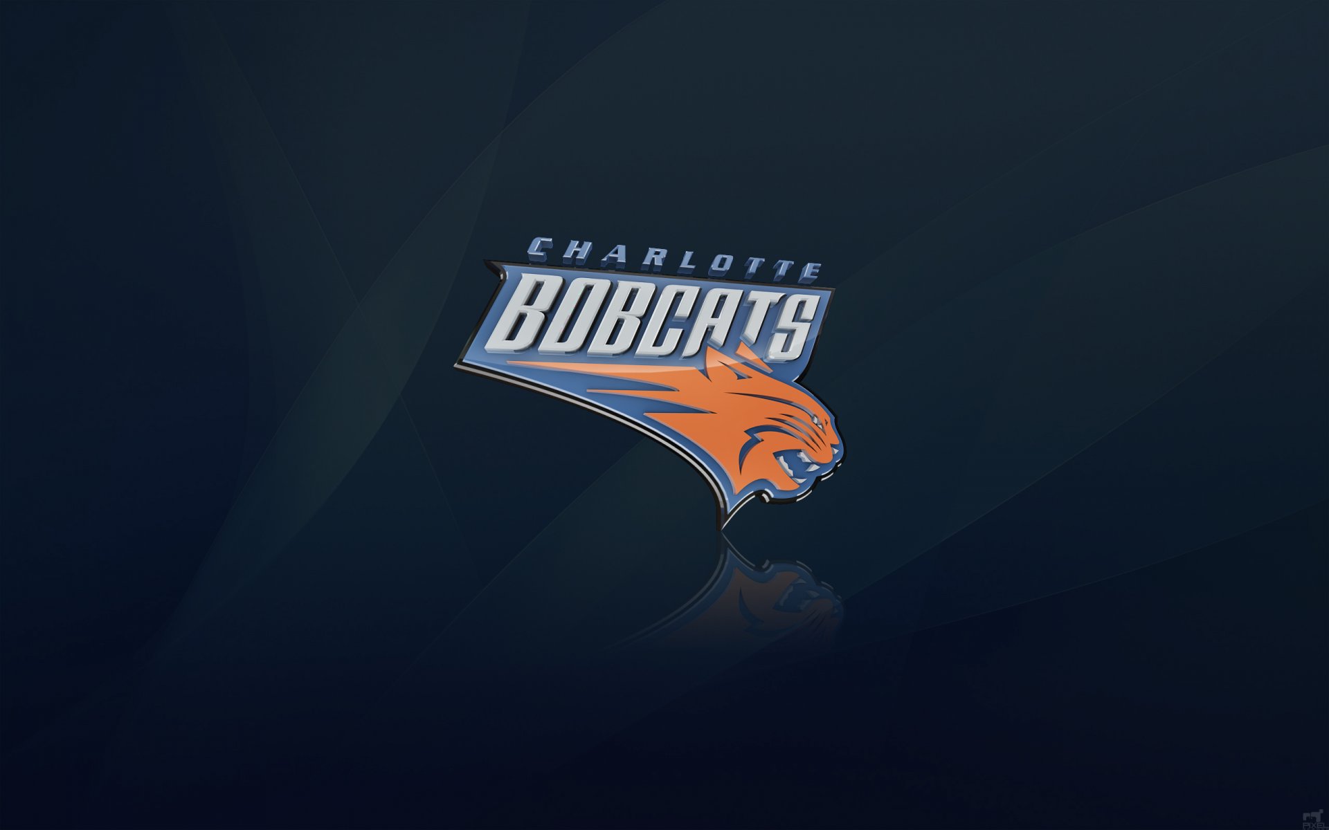 bobcats de charlotte nba basket-ball logo fond chats charlotte caroline du nord bleu