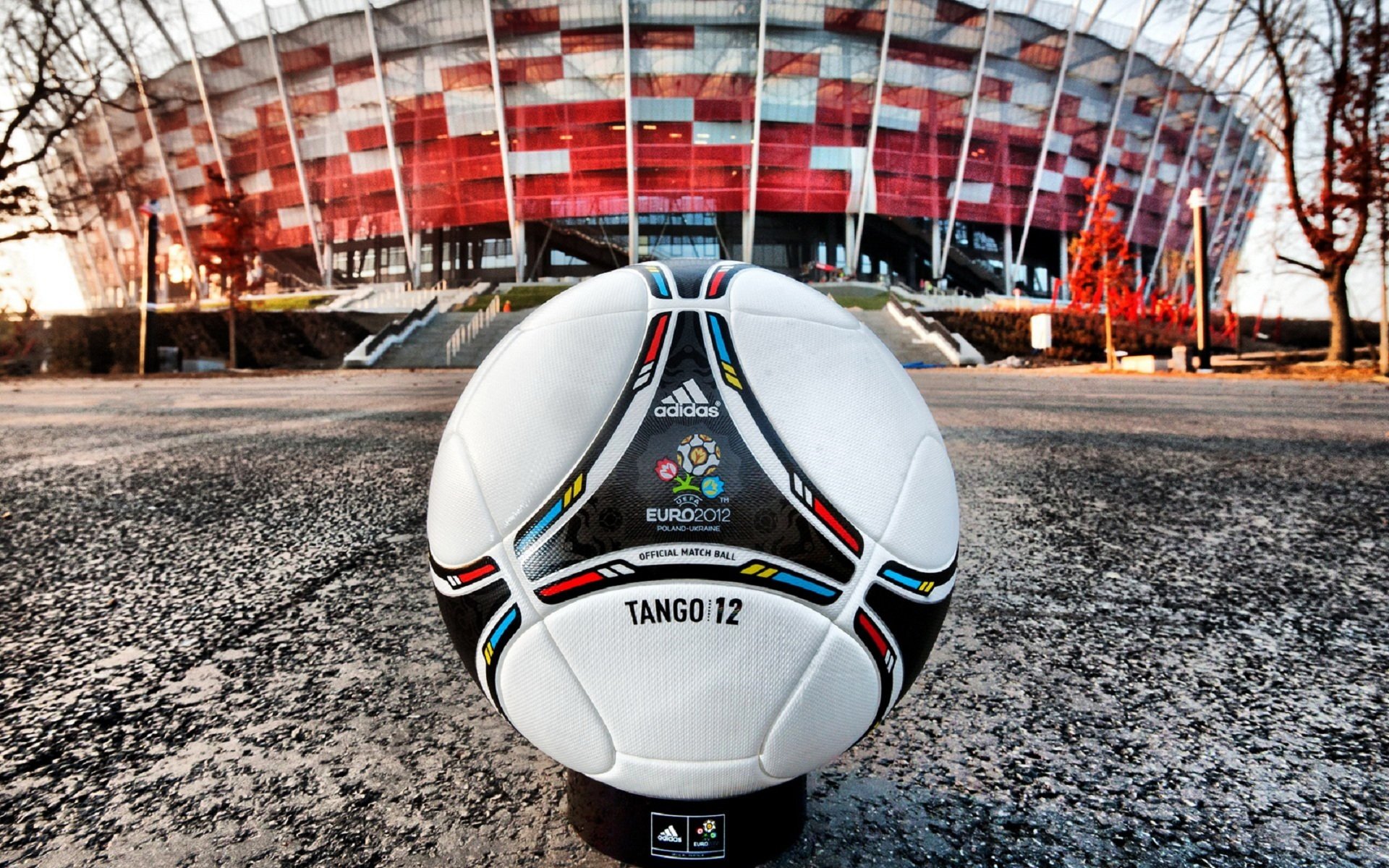 euro 2012 pelota cuero estadio