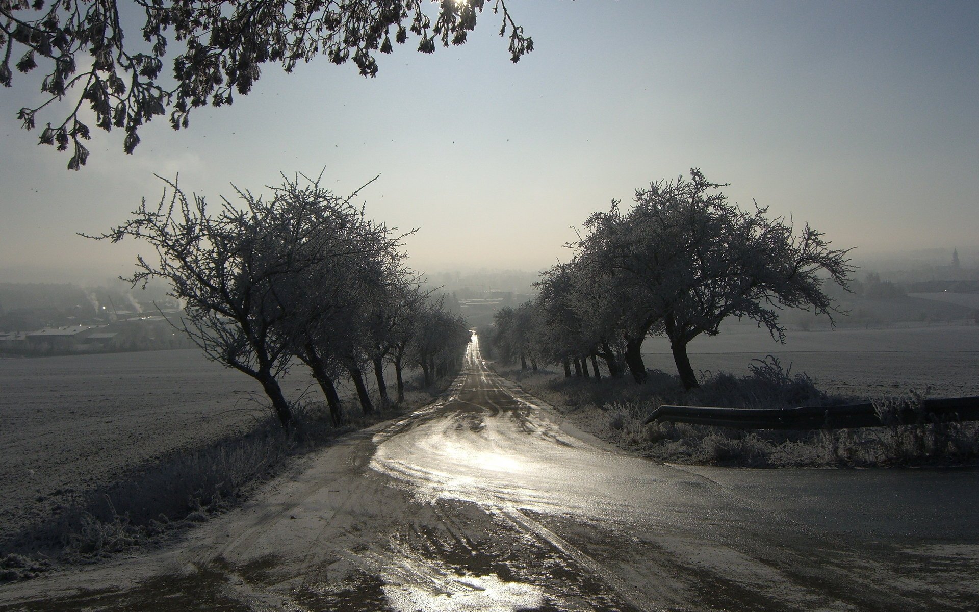 matin paysage brouillard route