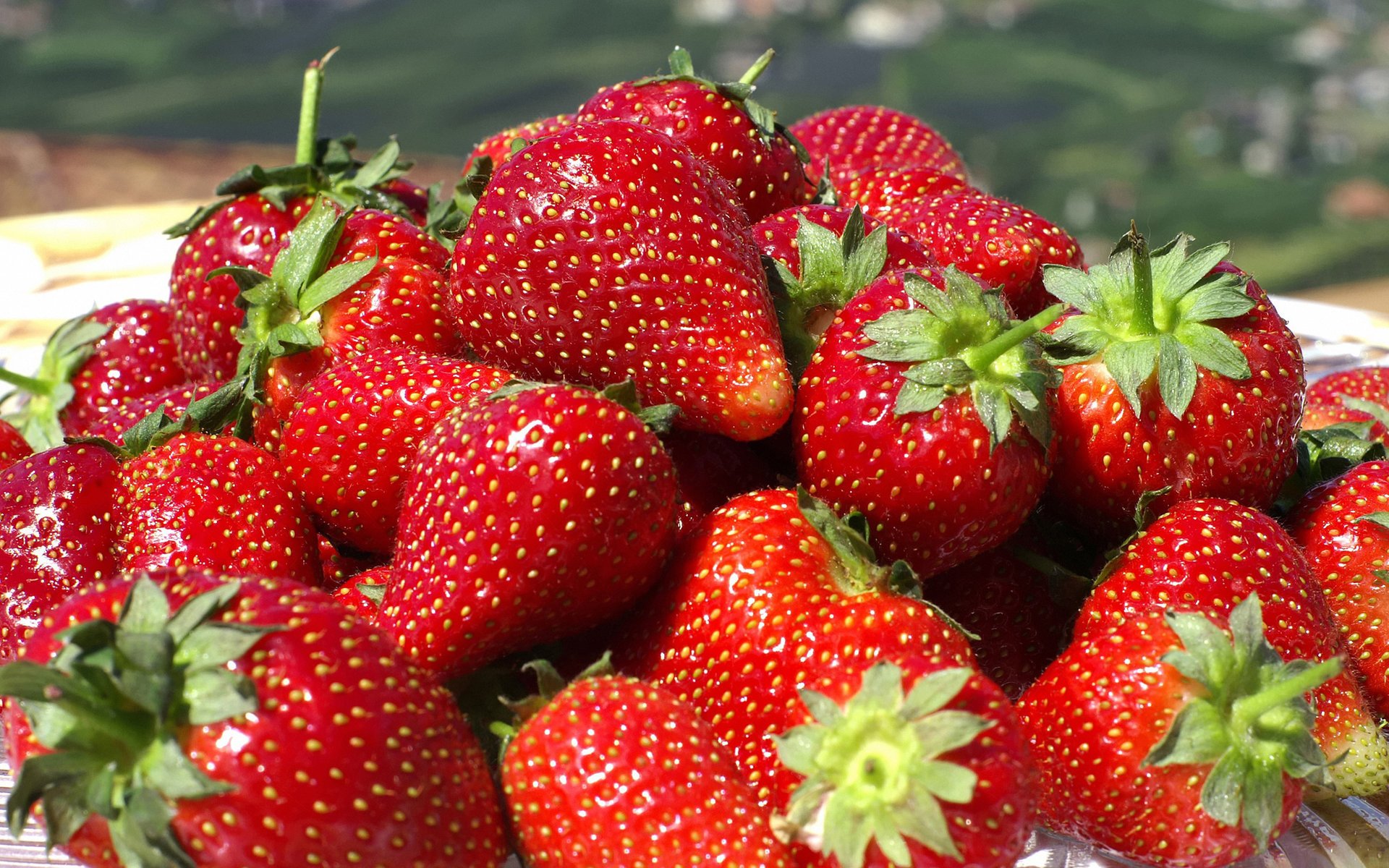 fragola carta da parati bacca