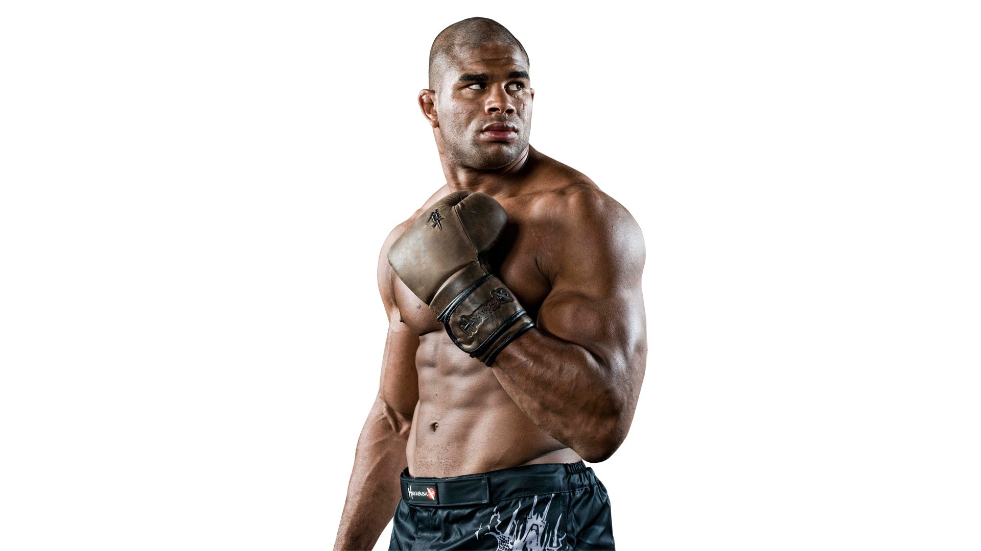 alistar overeem mixed martial art