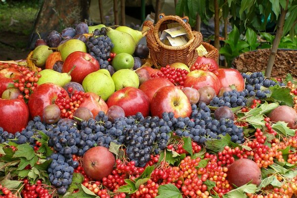 Un tas de fruits et de baies: pommes, poires, prunes, raisins