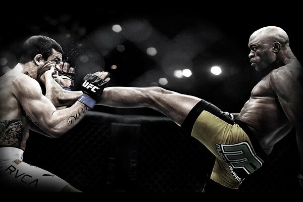 Kampf. Anderson Silva und Victor Belfort