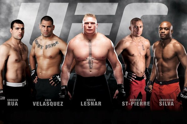 ufc mixed martial arts fighters kane velasquez anderson silva Georges St- Pierre Mauricio Rua brock Lesnar champions