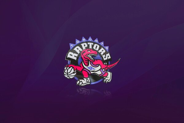 NBA Basketball logo Raptors Toronto dinosaure balle violet texture minimalisme sport