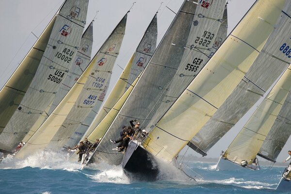 Los yates que participan en la Regata corren sobre las olas