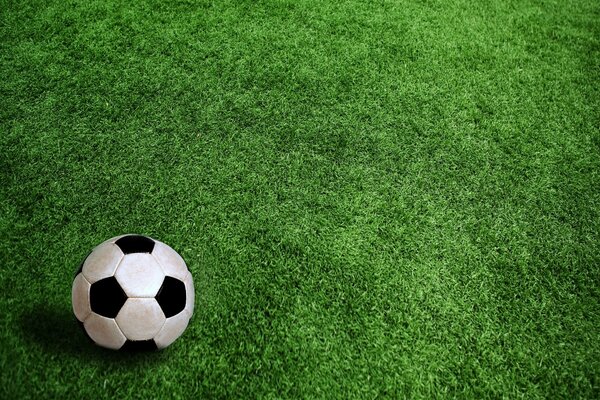 El balón de fútbol se encuentra en un campo verde