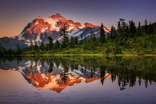 Coniferous forest on the shore of a mountain lake