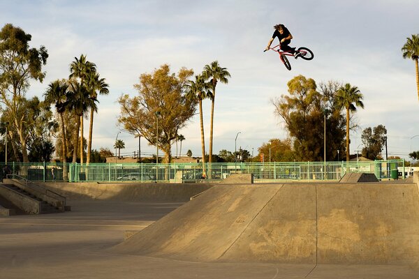 Mann macht Tricks im Skatepark