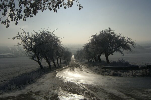 Matin glacial, route dans le brouillard