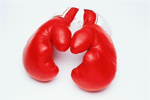 Gants rouges de boxe sur fond blanc