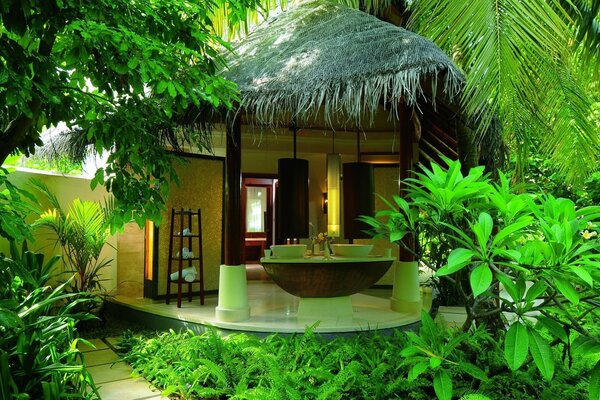 A bungalow in the jungle. Spa, ocean, palm trees