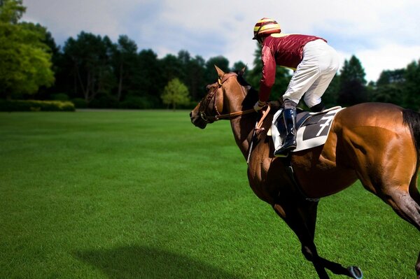 Un jinete a caballo durante una carrera deportiva