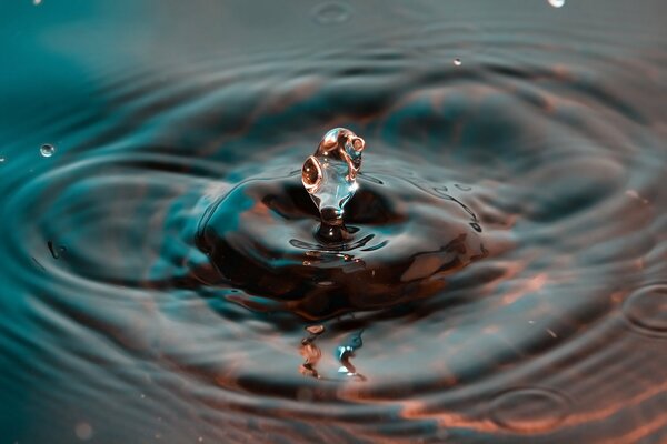 Revelando la belleza del agua a través de gotas y salpicaduras