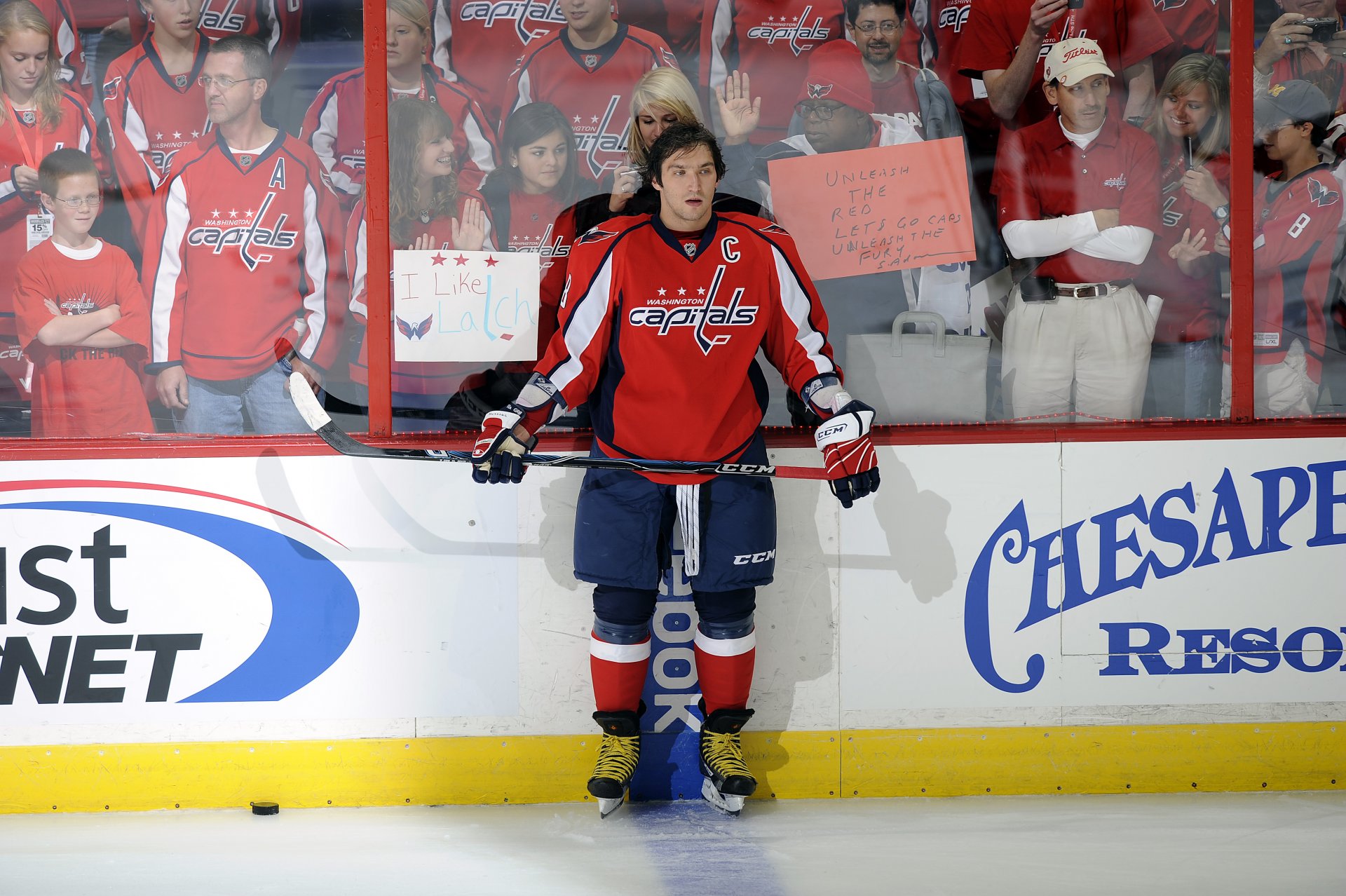 alexander ovechkin hockey spettatori capitali di washington nhl sport russo russia alessandro magno national hockey league national hockey leagueligue national de dinamo mosca fan giocatore di hockey bastone