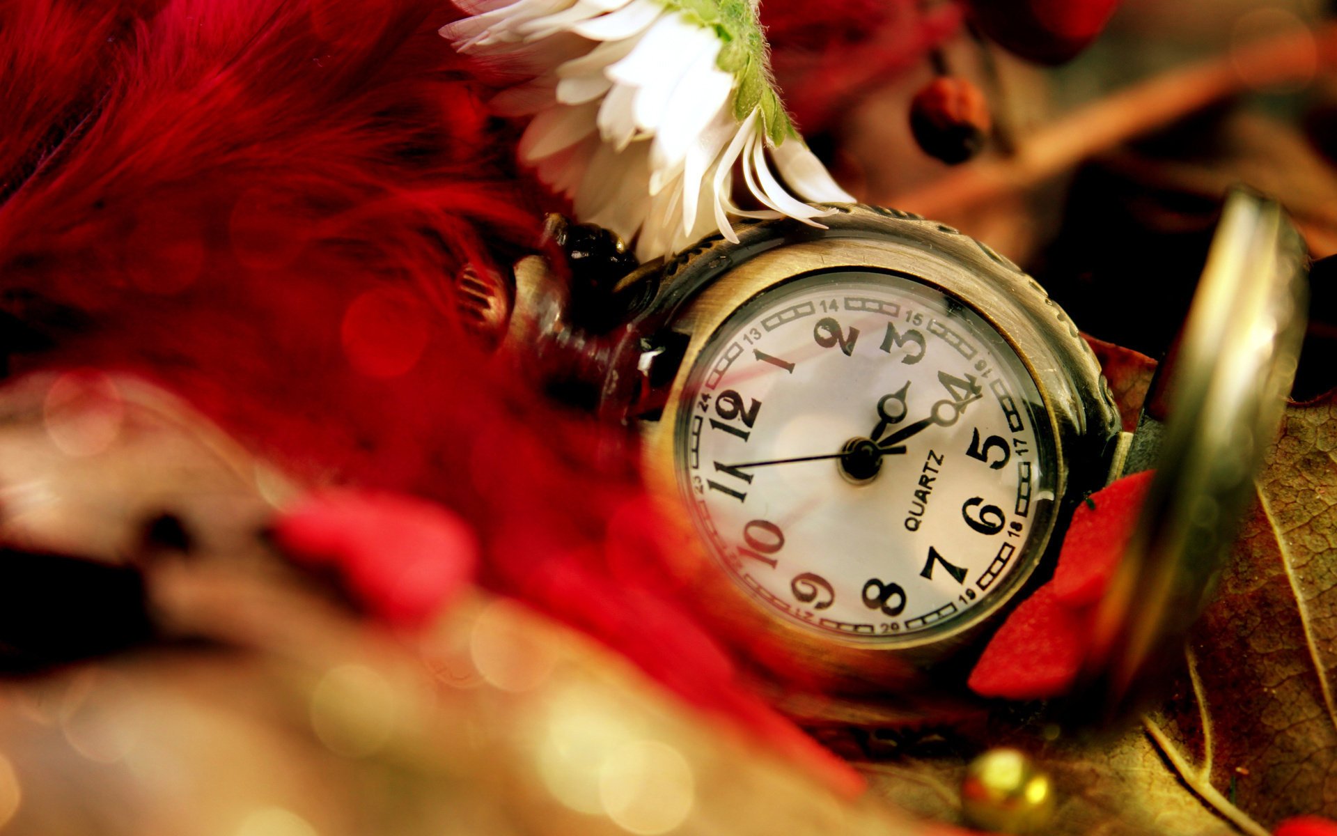 montre rouge plumes marguerite fleur poche feuilles