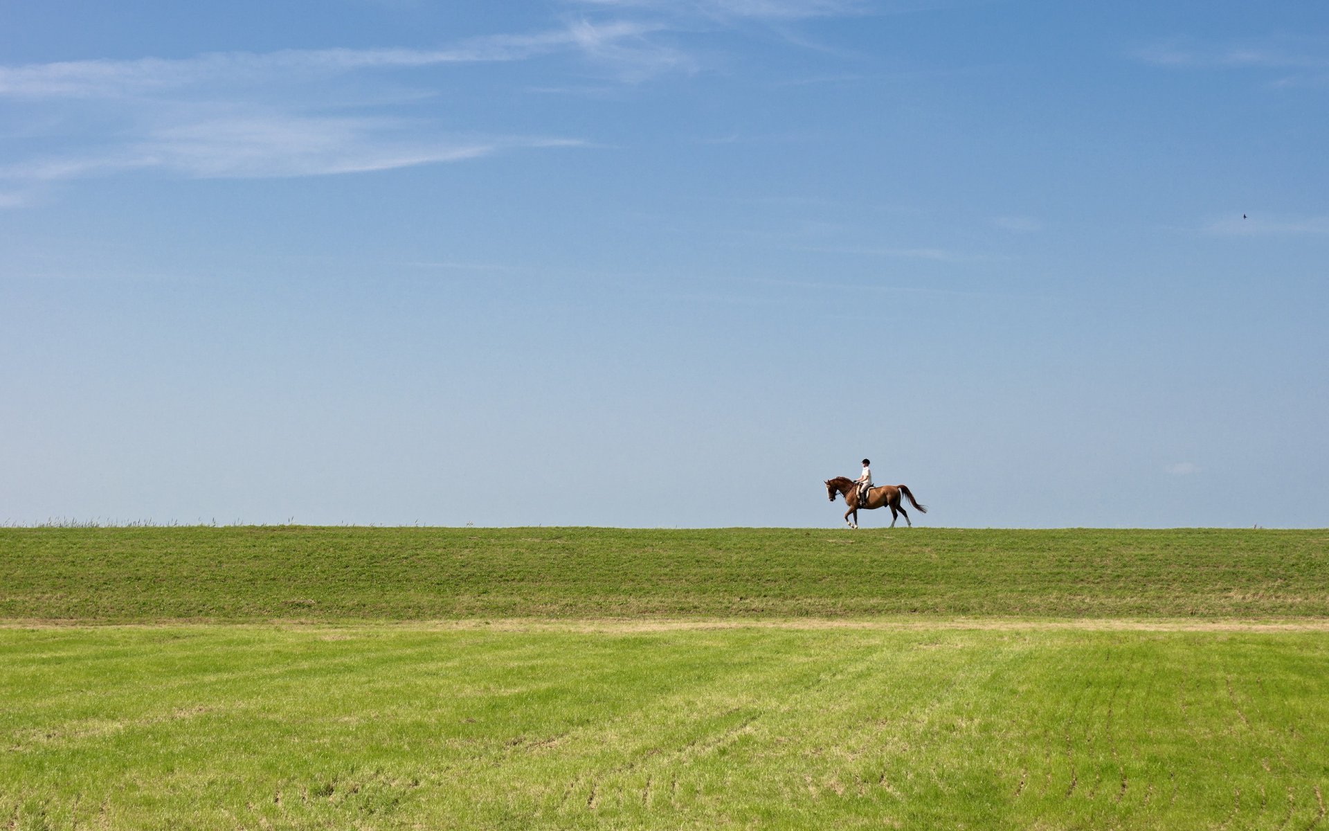 horseman the field sky