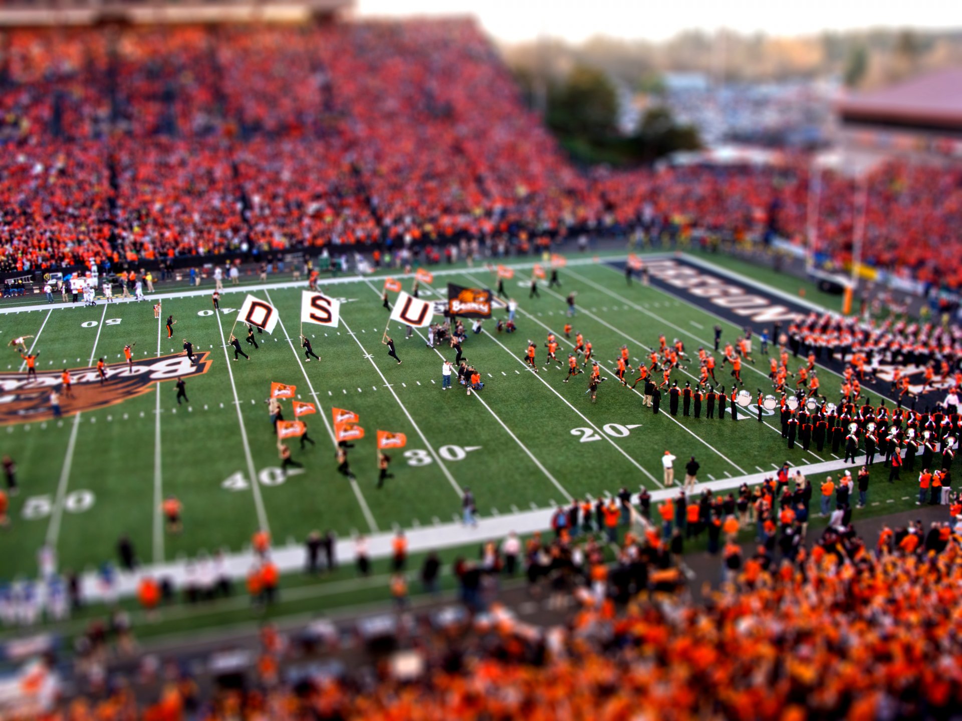 football tilt-shift orange flowers people