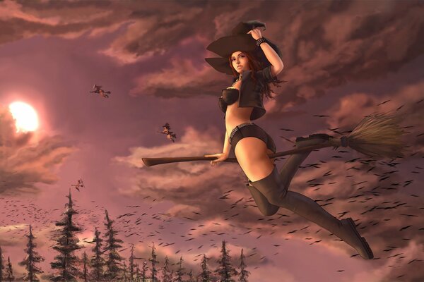 Flight of the witch on a broom and in a hat