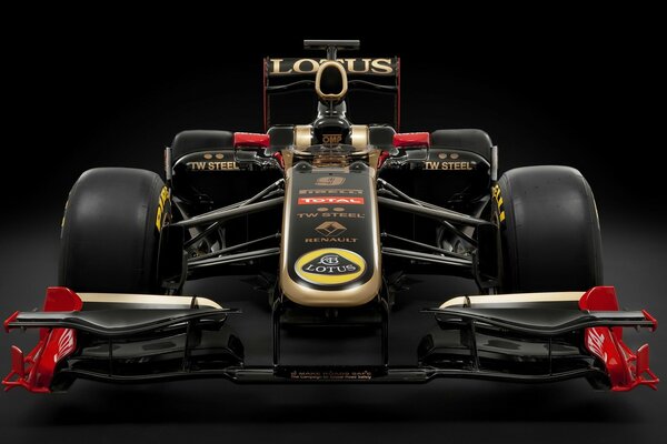 Renault-Lotus-Bolide von Vitali Petrov