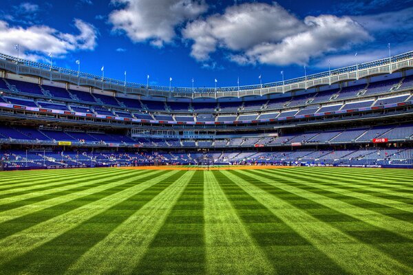 Summer stadium with a green field