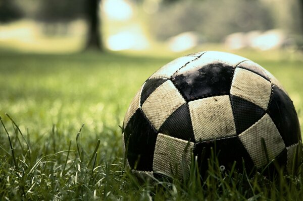 Una vieja pelota en el césped verde