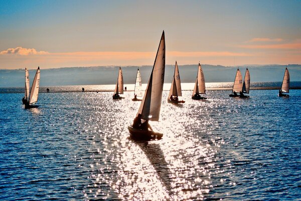 Sailboats on the background of the sea surface