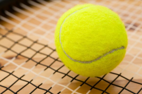 A tennis ball is lying on the net