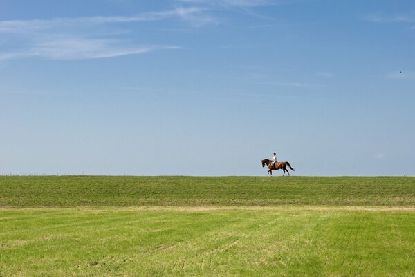 Cavalier marchant sur le champ sous le ciel bleu