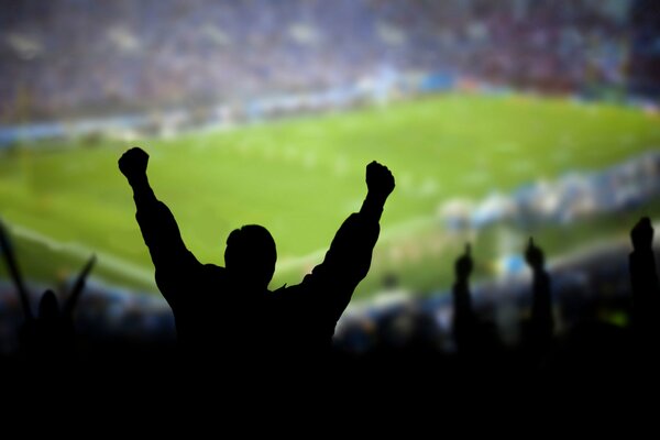 Silhouette of a fan on the football field