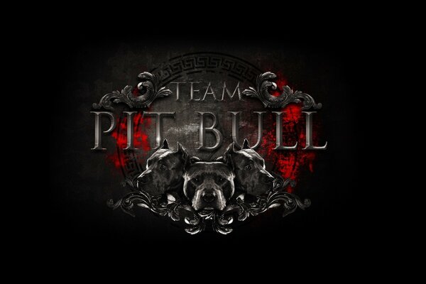 Pitbull Mixed Martial Arts Fight Club